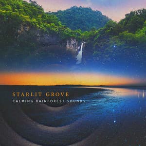 Starlit Grove - Calming Rainforest Sounds
