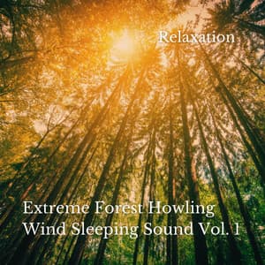 Relaxation: Extreme Forest Howling Wind Sleeping Sound Vol. 1 - Sleep Music Guys