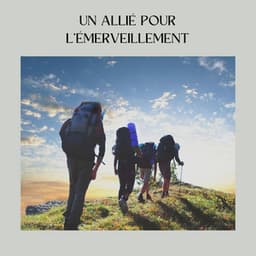 Un Allié Pour L'émerveillement - Ambiente
