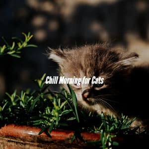 Chill Morning for Cats - Jazz Para Dormir
