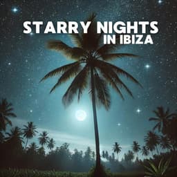 Starry Nights in Ibiza: Deep House Grooves - Chill Music Universe