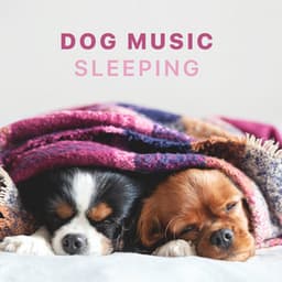 Dog Music - Sleeping Songs for Dogs and Puppies - Sleepy Dogs