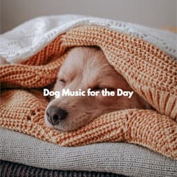 Dog Music for the Day - Coffee House Jazz Playlist