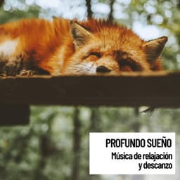 Horizonte en paz y su Profundo sueno: musica de relajacion y descanzo - Música Instrumental Maestro