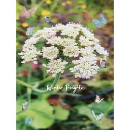 Winter Thoughts - Relaxing Piano Music Consort