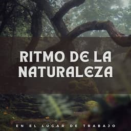 Ritmo de la Naturaleza en el Lugar de Trabajo - NatuREM
