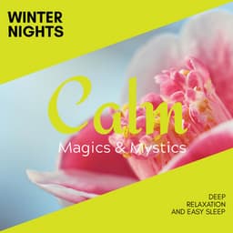 Winter Nights - Deep Relaxation and Easy Sleep - Relaxing Minds