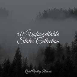 50 Unforgettable States Collection - Organic Nature Sounds