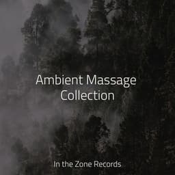 Ambient Massage Collection - Lounge Music Café