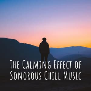 The Calming Effect of Sonorous Chill Music - Coffeehouse Chillout