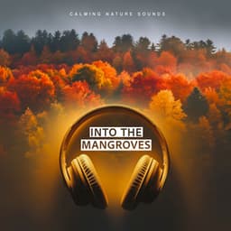 Into the Mangroves - Calming Nature Sounds