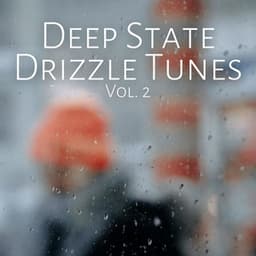 Deep State Drizzle Tunes Vol. 2 - Pure Spa Massage Music