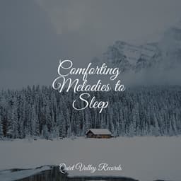 Comforting Melodies to Sleep - Thunder Storm