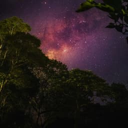 50 White Noise Sounds For Sleeping: Cosmos - White Noise