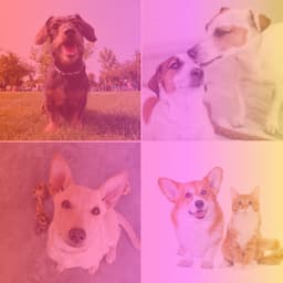 Music for Happy Pups - Relaxing Dog Music