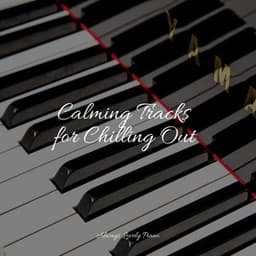 The Best Piano Melodies - Soulful Piano Group