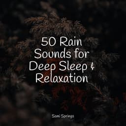 50 Rain Sounds for Deep Sleep & Relaxation - White Noise Nature Sounds Baby Sleep