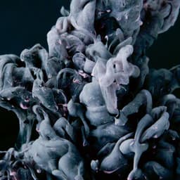 Bgm for At Home and Relaxing - Relaxing Bossa Nova Artisanal