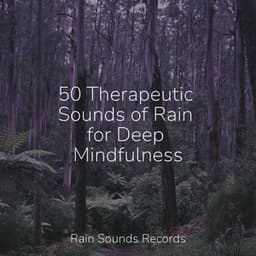 50 Therapeutic Sounds of Rain for Deep Mindfulness - Canciones de Cuna para Bebés Acadèmico