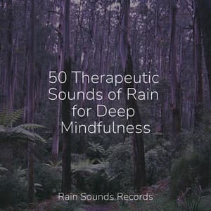 50 Therapeutic Sounds of Rain for Deep Mindfulness - Canciones de Cuna para Bebés Acadèmico