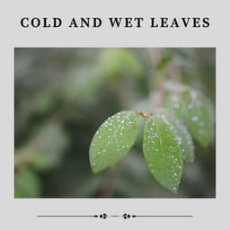 Cold and Wet Leaves - Heavy Rain Sounds