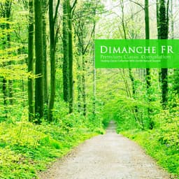 Healing Classical Collection with Gentle Natural Sounds - Dimanche FR