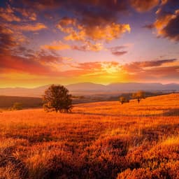 Armonía Lofi: Capas Musicales Suaves - Hip-hop instrumental tranquilo