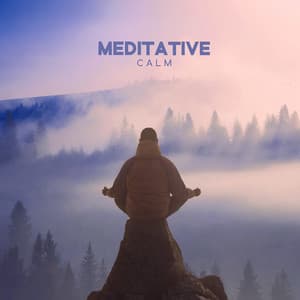 Meditative Calm: Relaxation Yoga Sounds, Spiritual Healing and Awakening, Stress Relief Therapy, Enhanced Wellbeing - Mantra Music Center