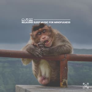 Relaxing Sleep Music for Mindfulness - Calm Music For Sleeping