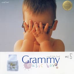 Champ Of Music Box, Vol. 5 - Music Box