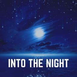 Into the Night - Binaural Landscapes