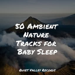 50 Ambient Nature Tracks for Baby Sleep - Meditation Zen