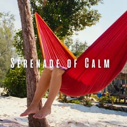 Serenade of Calm: Relaxation with Meditation Music - Calming Brown Restful Sounds