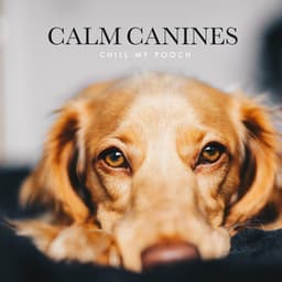 Calm Canines - Chill My Pooch
