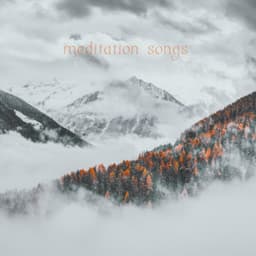 Mindful Soundscape, Vol. 2 - Meditation Songs