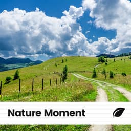 Nature Moment - Nature Sound Series
