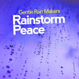 Rainstorm Peace - Gentle Rain Makers