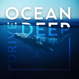 Ocean Deep Dive: Sounds of Whales and Dolphins for Sleep - Chill Out Sounds Collective
