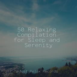50 Relaxing Compilation for Sleep and Serenity - Chakra Balancing Sound Therapy