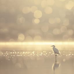 Sinfonía De Lluvia: Aves Binaurales Para El Sueño - 80 88 Hz - Musica para Dormir Dream House