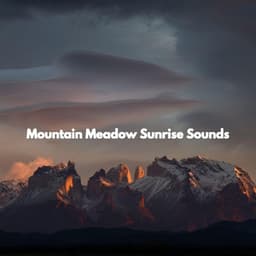 Mountain Meadow Sunrise Sounds - New Orleans Jazz Band