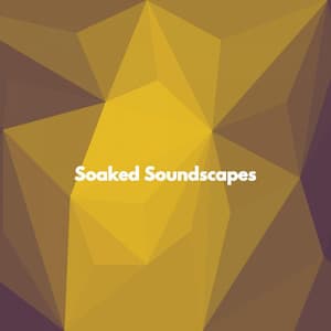 Soaked Soundscapes - Afternoon Jazz