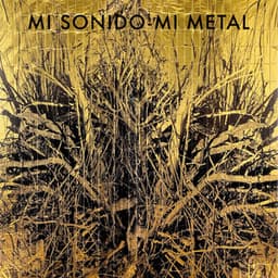 Mi Sonido, Mi Metal - Jorge Pardo