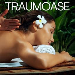 Traumoase - Entspannungsmusik Wellness Club