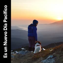 Es un Nuevo Día Pacífico - Música Relajante Para Leer