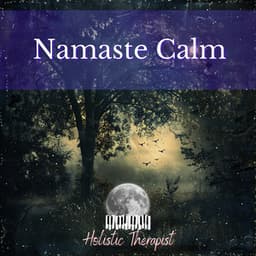 Namaste Calm - Holistic Therapist