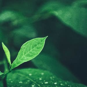 1 Night With White Noise: Restfully - Focus Noise