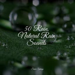 50 Rain, Natural Rain Sounds - Nature Chillout