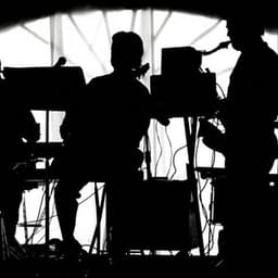 Soothing Cat Soundscapes: Reflective Ambient Music - Calming Spirit