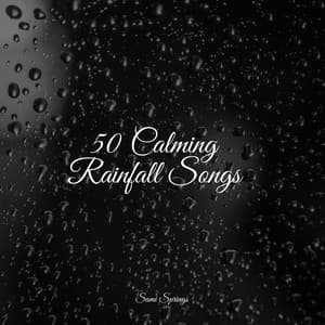 50 Calming Rainfall Songs - Deep Focus